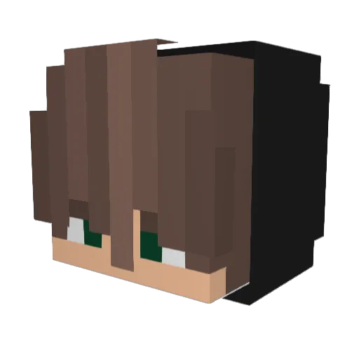 Kauan65996 Minecraft avatar head, 3D render