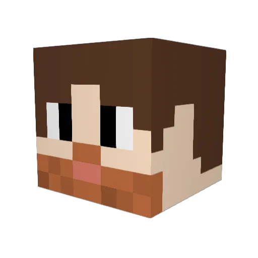 Kauaski Minecraft avatar head, 3D render