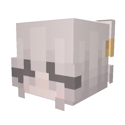 Kaud3r Minecraft avatar head, 3D render