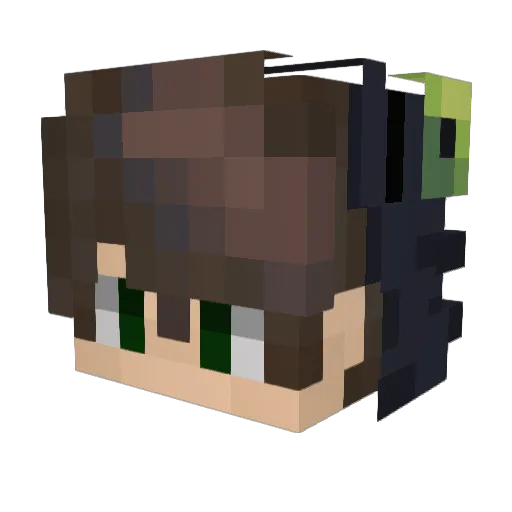 Kaue_Kfs Minecraft avatar head, 3D render