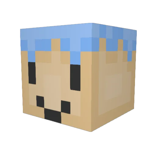 Kaufecake Minecraft avatar head, 3D render