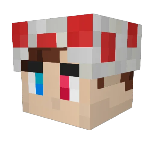 KauftBibisHandy Minecraft avatar head, 3D render