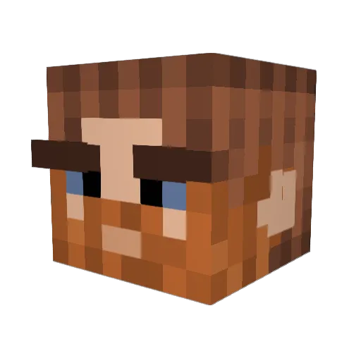 Kauppakassi Minecraft avatar head, 3D render