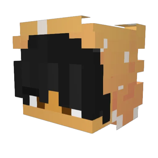 Kaurdi Minecraft avatar head, 3D render