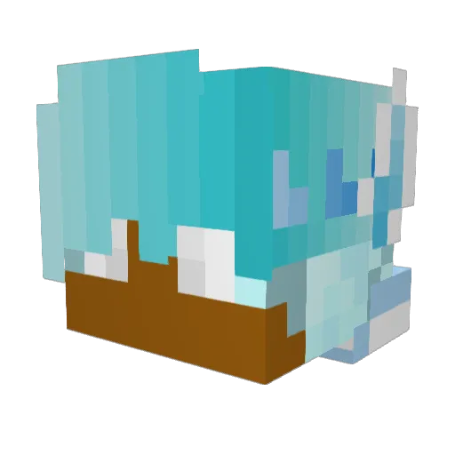 KausticAgnostic Minecraft avatar head, 3D render