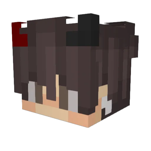 Kavboy24 Minecraft avatar head, 3D render