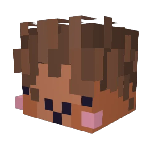 Kavendish0 Minecraft avatar head, 3D render