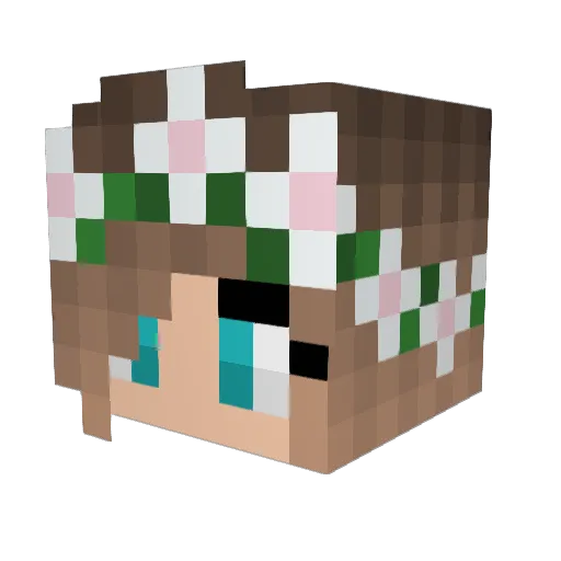 KaviePasha Minecraft avatar head, 3D render