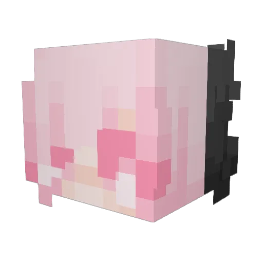 Kawaii0eevee Minecraft avatar head, 3D render