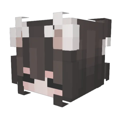 KawaiiAssassin18 Minecraft avatar head, 3D render