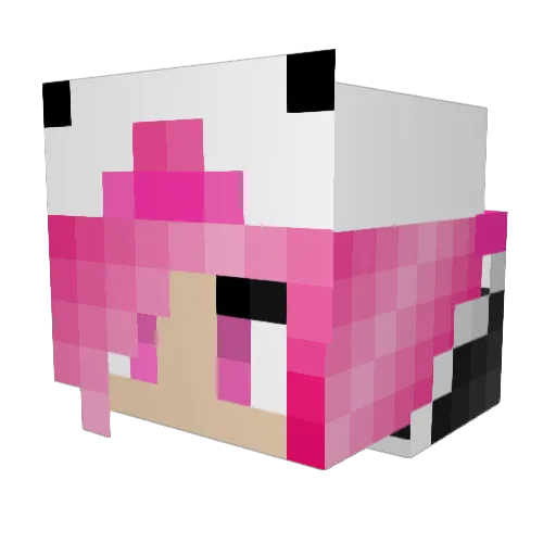 KawaiiIsMary Minecraft avatar head, 3D render