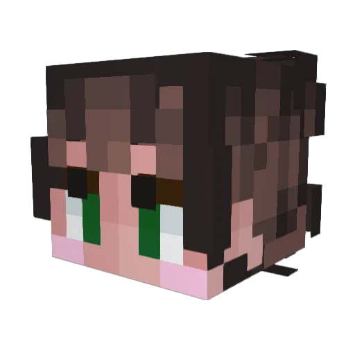 KawaiiTempeh Minecraft avatar head, 3D render