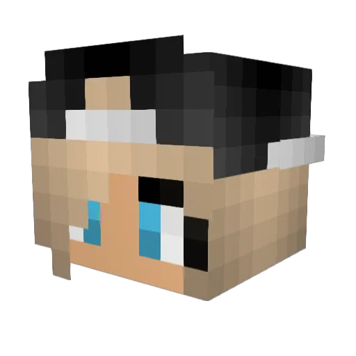 Kawaii_Shelly Minecraft avatar head, 3D render