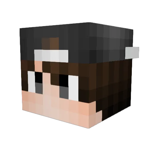 KawanSkills Minecraft avatar head, 3D render