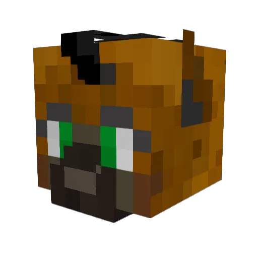 Kawarri_ Minecraft avatar head, 3D render