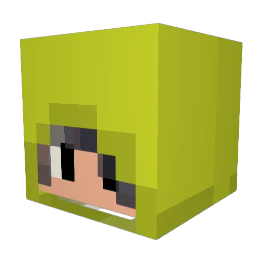 Kawataro727 Minecraft avatar head, 3D render