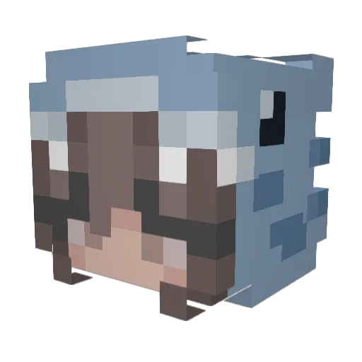 Kawawa_s Minecraft avatar head, 3D render