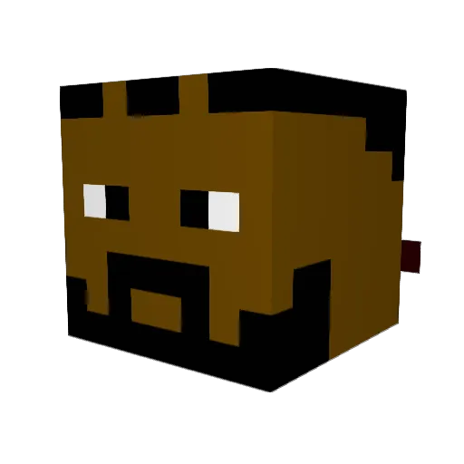 Kawhi_Le0nard Minecraft avatar head, 3D render