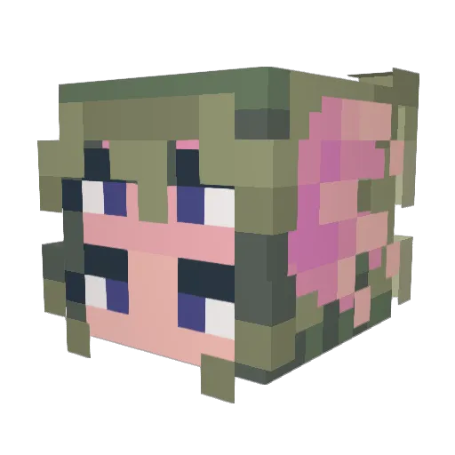 KawiTheKat Minecraft avatar head, 3D render