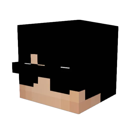 Kaxau Minecraft avatar head, 3D render