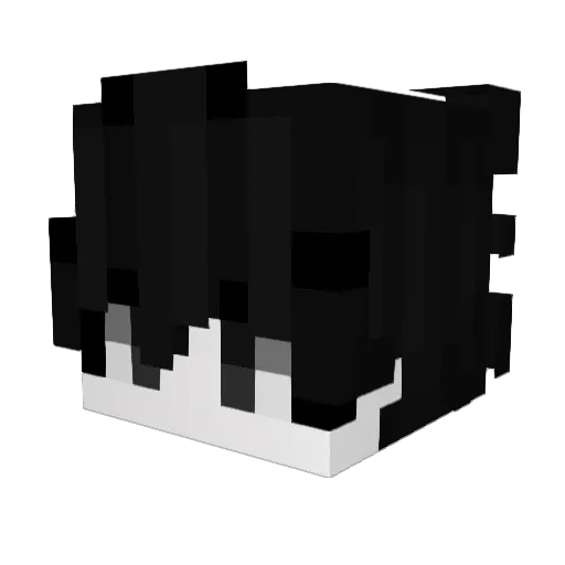 Kaxid Minecraft avatar head, 3D render