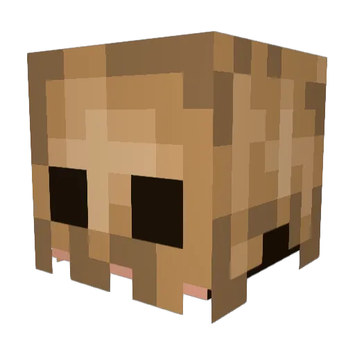 Kaxzoo_ Minecraft avatar head, 3D render