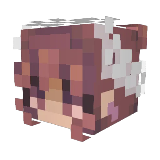 Kay2031 Minecraft avatar head, 3D render