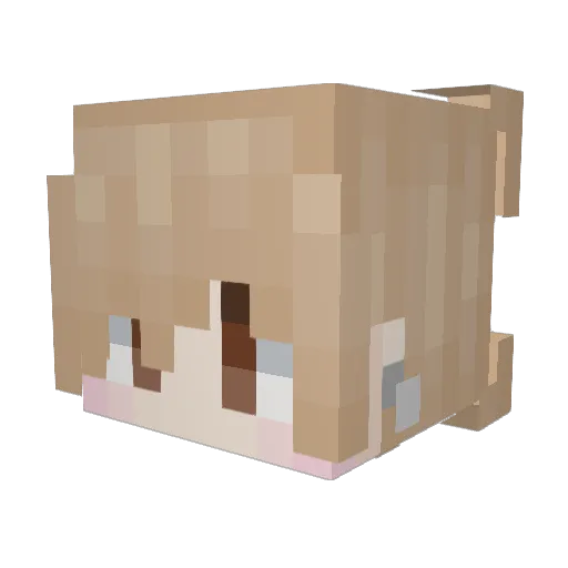 KayClass Minecraft avatar head, 3D render