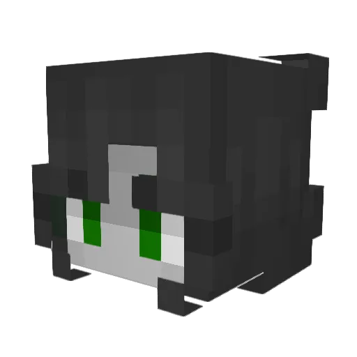 KayGamer668 Minecraft avatar head, 3D render