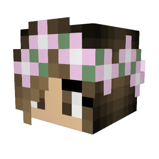KayKayPengu Minecraft avatar head, 3D render