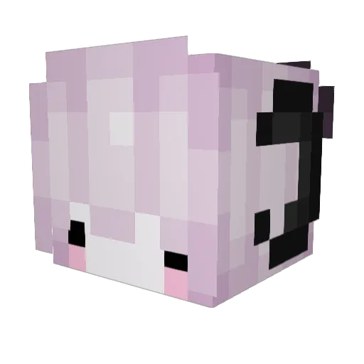 KayRoggies2010 Minecraft avatar head, 3D render