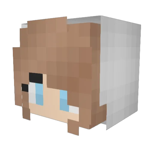 KayaBird19 Minecraft avatar head, 3D render