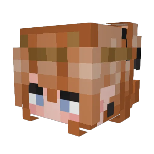 Kayami084 Minecraft avatar head, 3D render