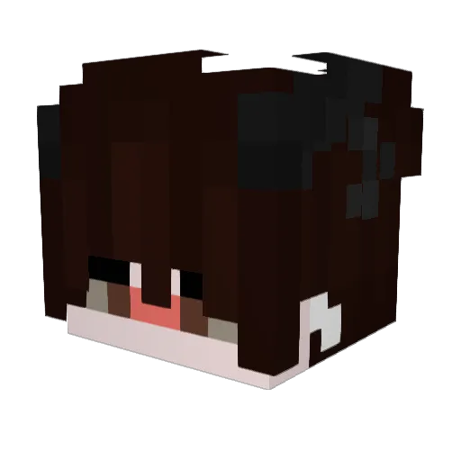 Kaybolan50TL Minecraft avatar head, 3D render