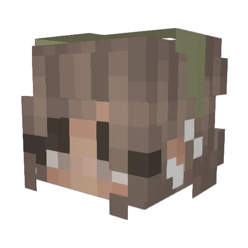 Kaycelyn7 Minecraft avatar head, 3D render