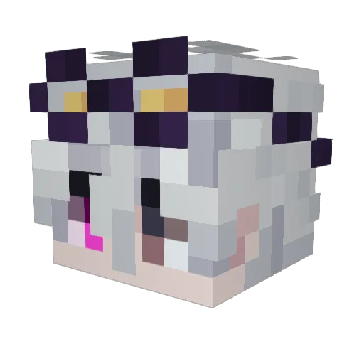Kaycesun Minecraft avatar head, 3D render