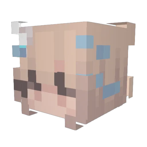 Kaychii Minecraft avatar head, 3D render