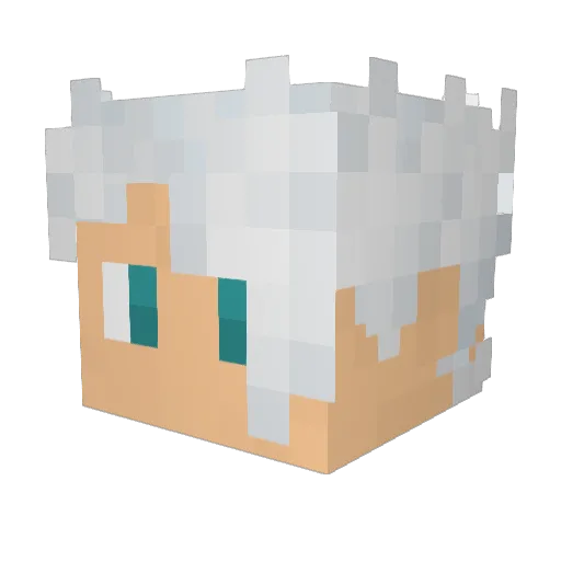 KaydenMingo Minecraft avatar head, 3D render
