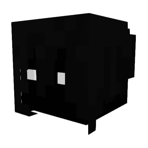 Kayden_Playz Minecraft avatar head, 3D render