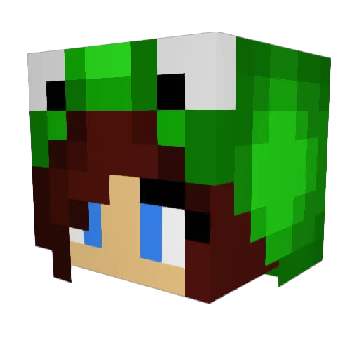 Kayfrog2004 Minecraft avatar head, 3D render