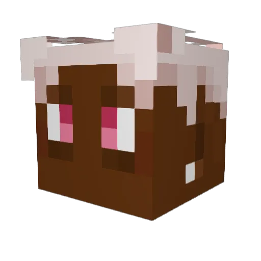 KayikaE Minecraft avatar head, 3D render