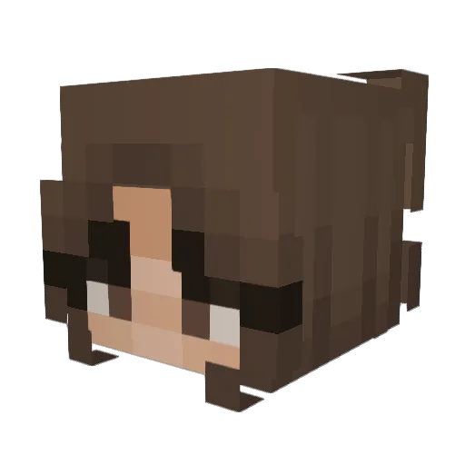 Kayla1204 Minecraft avatar head, 3D render