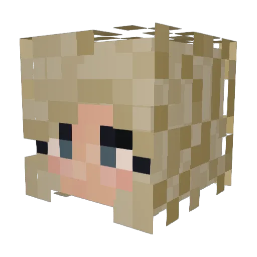 KaylaD123 Minecraft avatar head, 3D render
