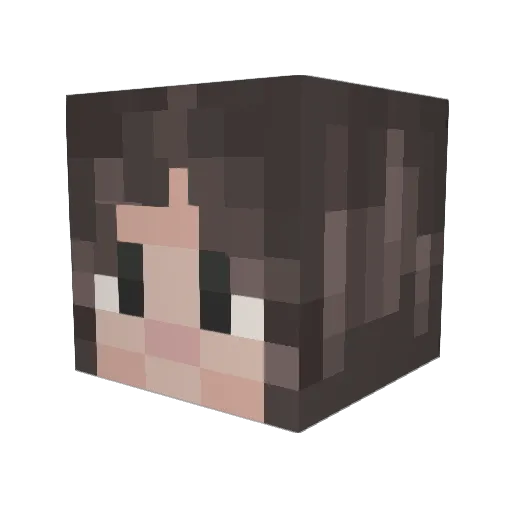 KaylaLuiza Minecraft avatar head, 3D render
