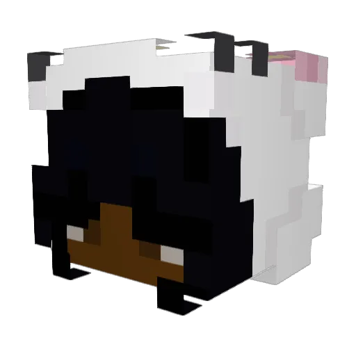 KaylaMC Minecraft avatar head, 3D render