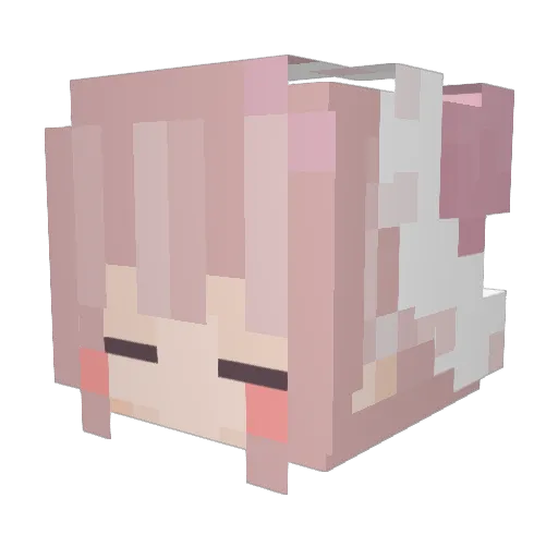 KaylaNicole427 Minecraft avatar head, 3D render
