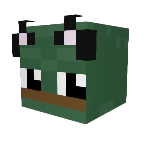 KaylaPaige142 Minecraft avatar head, 3D render