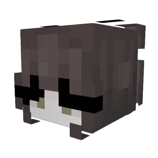 Kayla_88 Minecraft avatar head, 3D render