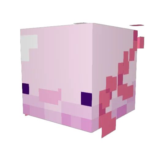 Kayla_The_Great Minecraft avatar head, 3D render