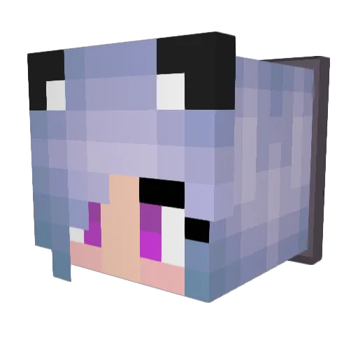 Kaylakane404 Minecraft avatar head, 3D render